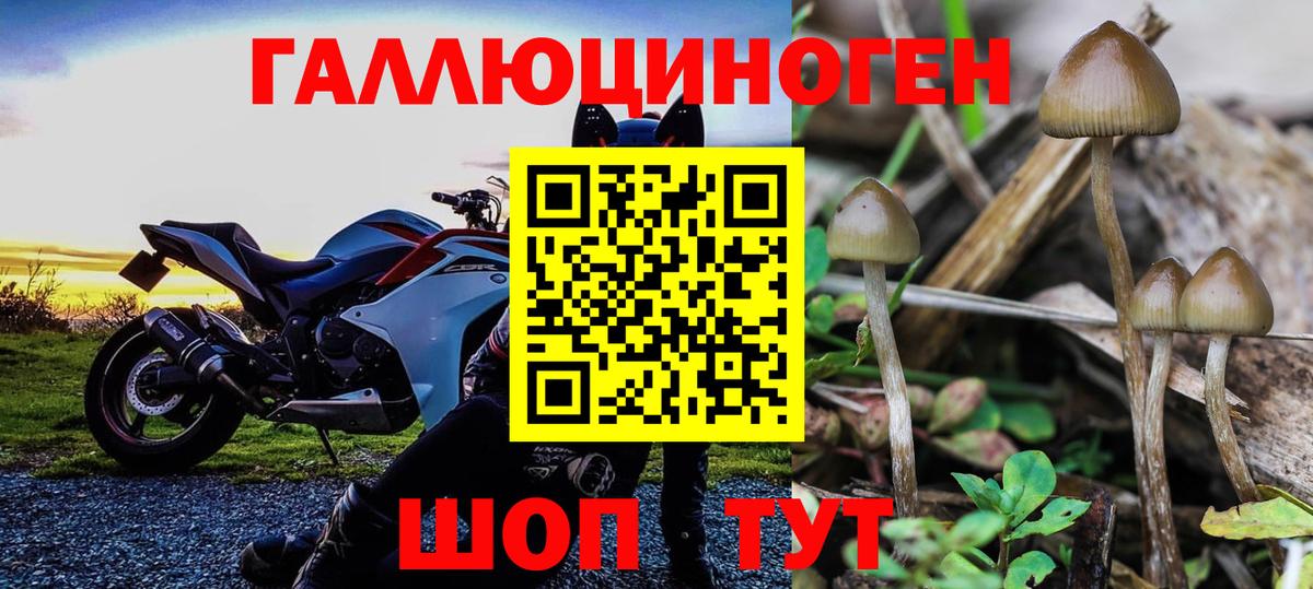 Псилоцибиновые грибы MAGIC MUSHROOMS  Вход с VPN  Удомля 