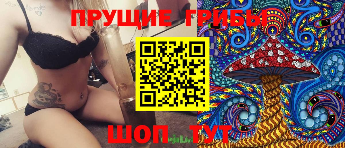 Псилоцибиновые грибы прущие грибы Удомля